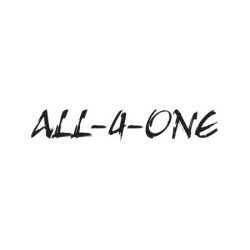 \"All-4-One\"\/